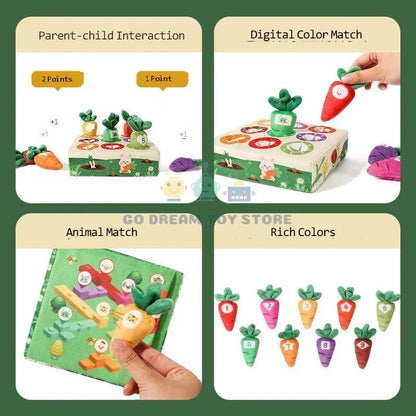 Juguete Educativo para Niños en Edad Preescolar, Entrenamiento de Habilidades Motoras Finas, Aprendizaje de Colores, Actividad Sensorial